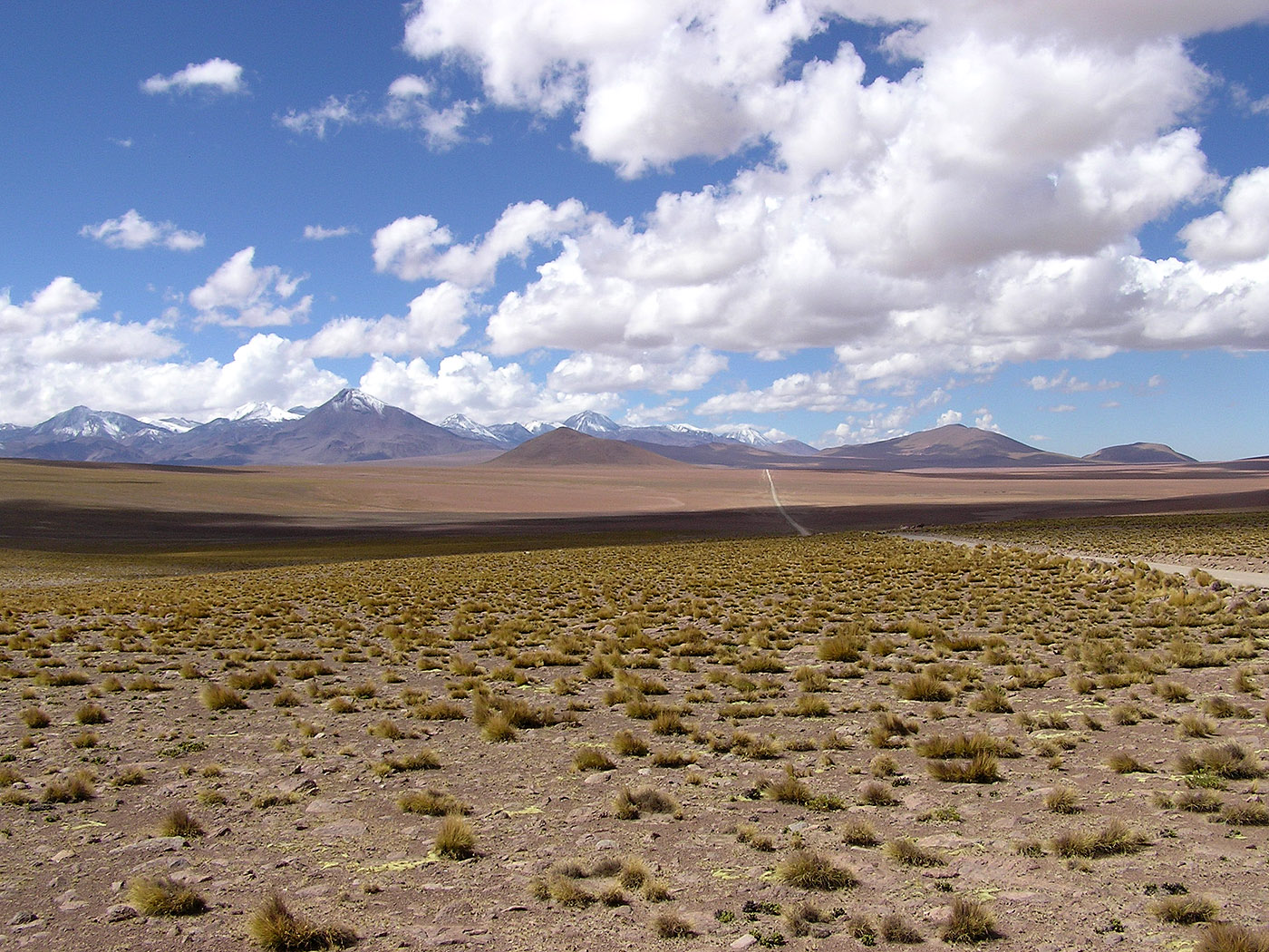 Altiplano near El Tatio, Chile